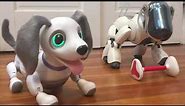 Zoomer Playful Pup and Sony Aibo ERS-7M3
