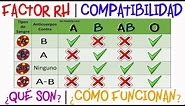 💉Tipos de sangre | Compatibilidad | Factor Rh |