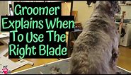 How Groomers Use The 10,7FC,4FC and 15 Blade