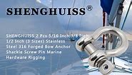 Stainless Steel 316 Forged Bow Anchor Shackle