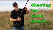 6 Minute Review: Shooting the Gamo Swarm 10x Gen 2