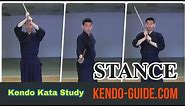 Kendo Kata: Kamae Explained