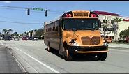 Palm Beach District Schools buses and Private Operators school bus action 2018.