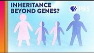 Is Epigenetic Inheritance Real?