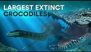 Largest EXTINCT Crocodiles - Size Comparison