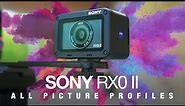 Sony RX0 II Hands-On - ALL PICTURE PROFILES!