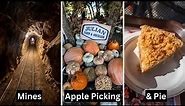 The Perfect Fall Weekend in Julian: Apple Picking, Pie, Mines & More