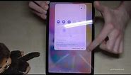 Samsung Galaxy Tab S8: How to turn off the tablet? And how to set up the Power Button?
