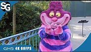 Cheshire Cat Meet & Greet | Disneyland Paris