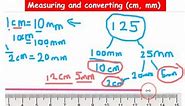 Year 3 Measuring and converting (cm, mm)