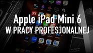 Apple iPad mini 6 w pracy profesjonalnej
