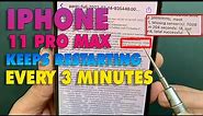 How to Fix iPhone 11 Pro Max Keeps Restarting Every 3 Minutes | Missing sensor(s): TG0B