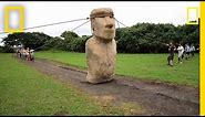 Scientists Make Easter Island Statue Walk | National Geographic