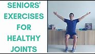 Healthy Joint Exercises For Seniors | Gentle Chair Exercises For Seniors | More Life Health