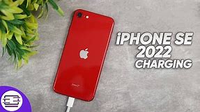 iPhone SE 2022 Charging Test 🔋20W Fast Charger⚡⚡