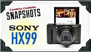 Cameta Camera SNAPSHOTS - Sony Cyber-Shot HX99 Digital Camera