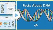 Facts About DNA PowerPoint