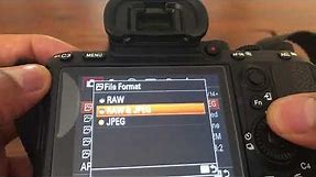 Sony A7riii, A7iii, A7rii, a7ii, A7sii - FILE FORMATS FOR PHOTOS - RAW AND JPEG
