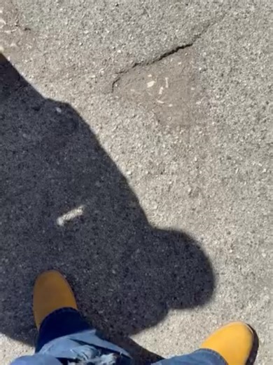 3.2K views | Enzo Dong on Reels | Facebook