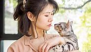 Why Does My Cat Smell My Face? - Reasons Why Cats Sniff Us