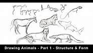 Drawing Animals for Beginners - Part 1 - Structure & Form
