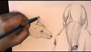 How Draw Horse Ears