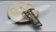 TOP 10 Amazing Micro-Robots