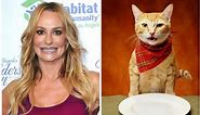 These Screaming Taylor Armstrong Vs. Salad Cat Memes Are Absolutely HILARIOUS