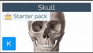 Bones of the Skull: Neurocranium and Viscerocranium - Human Anatomy | Kenhub