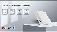 RSH Multi-mode Gateway Smart Home Hub, WiFi+ZigBee+Bluetooth - GW018