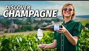 CHAMPAGNE: The Ultimate Guide to the World’s BEST Sparkling Wine