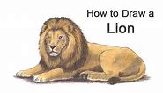 How to Draw a Lion (Color)