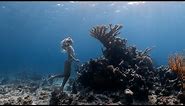 Jewels of Andros | Freediving the Blue Holes of Andros, Bahamas