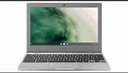 Samsung Chromebook 4 - XE310XBA-K02US Quick Facts