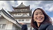 🔴Live - Let's discover Chiba/ Many Amazing Spots!!⛩🏯🏖🚝😊