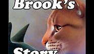 The Life of Brook Where Small Fish Swim