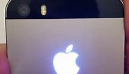 iPhone 5s glowing apple logo mod | Светящееся яблоко на айфон 5s