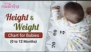 Baby Height and Weight Chart - Track Your Baby's Growth