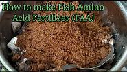 HOW TO MAKE FISH AMINO ACID(FAA)Fish Fertilizer/Organic /How to Ferment Fish Amino Acid Fertilizer