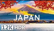 Experience the Beauty of JAPAN in Mind-Blowing 12K HDR 120fps Dolby Vision