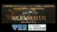 3Dプロジェクションマッピング「SAKAI NIGHT MUSEUM」
