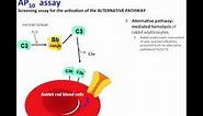 Clinical assessment of complement system CH50 and AP50