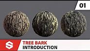 Tree Bark - Introduction | Adobe Substance 3D