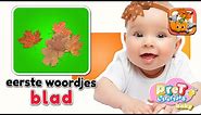Baby Eerste Woordjes • BLAADJES • Baby tv Nederlandse Baby filmpjes • Eerste Woordjes Leren