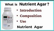 what is nutirent agar | Nutrient agar microbiology