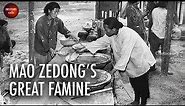 How the Great Leap Forward caused the Great Chinese Famine