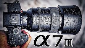 Are cameras really weather resistant? A Sony A7iii real life test