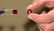Comparing a Transparent Faceted Ruby to a Star Ruby by GIA