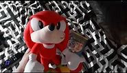 Knuckles watches the CTHE logo
