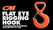 CM Flat Eye Rigging Hooks